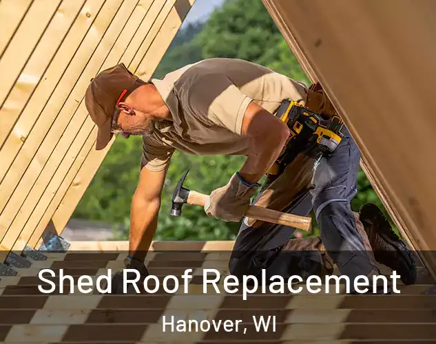  Shed Roof Replacement Hanover, WI